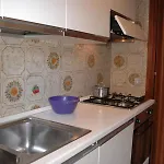 With A Large Fenced Garden *