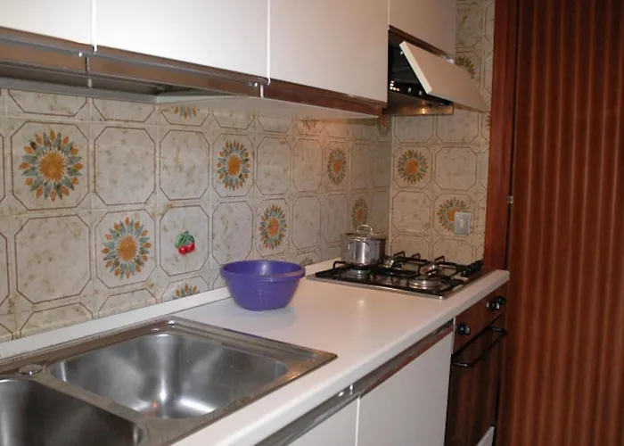 With A Large Fenced Garden *